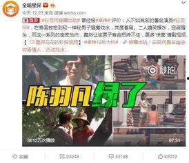 北京大林爆料事件视频全集,揭秘背后真相与争议  第1张