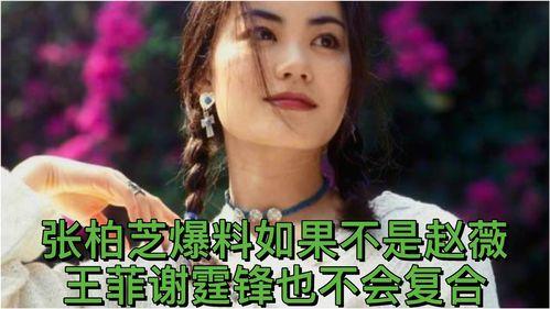 张柏芝赵薇爆料视频在线观看,娱乐圈内幕大揭秘  第3张