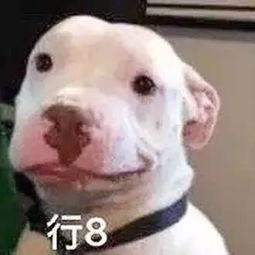 娱乐圈吃瓜公众号微信,揭秘那些不为人知的幕后故事！  第1张