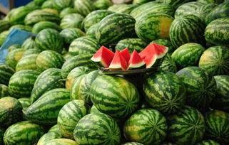 西安吃瓜网红事件真相,真相背后的网络舆论风暴 第1张 西安吃瓜网红事件真相,真相背后的网络舆论风暴 第1张